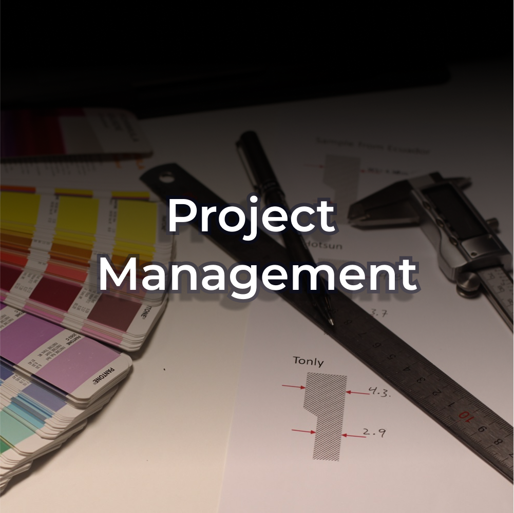 Gestión de Proyectos