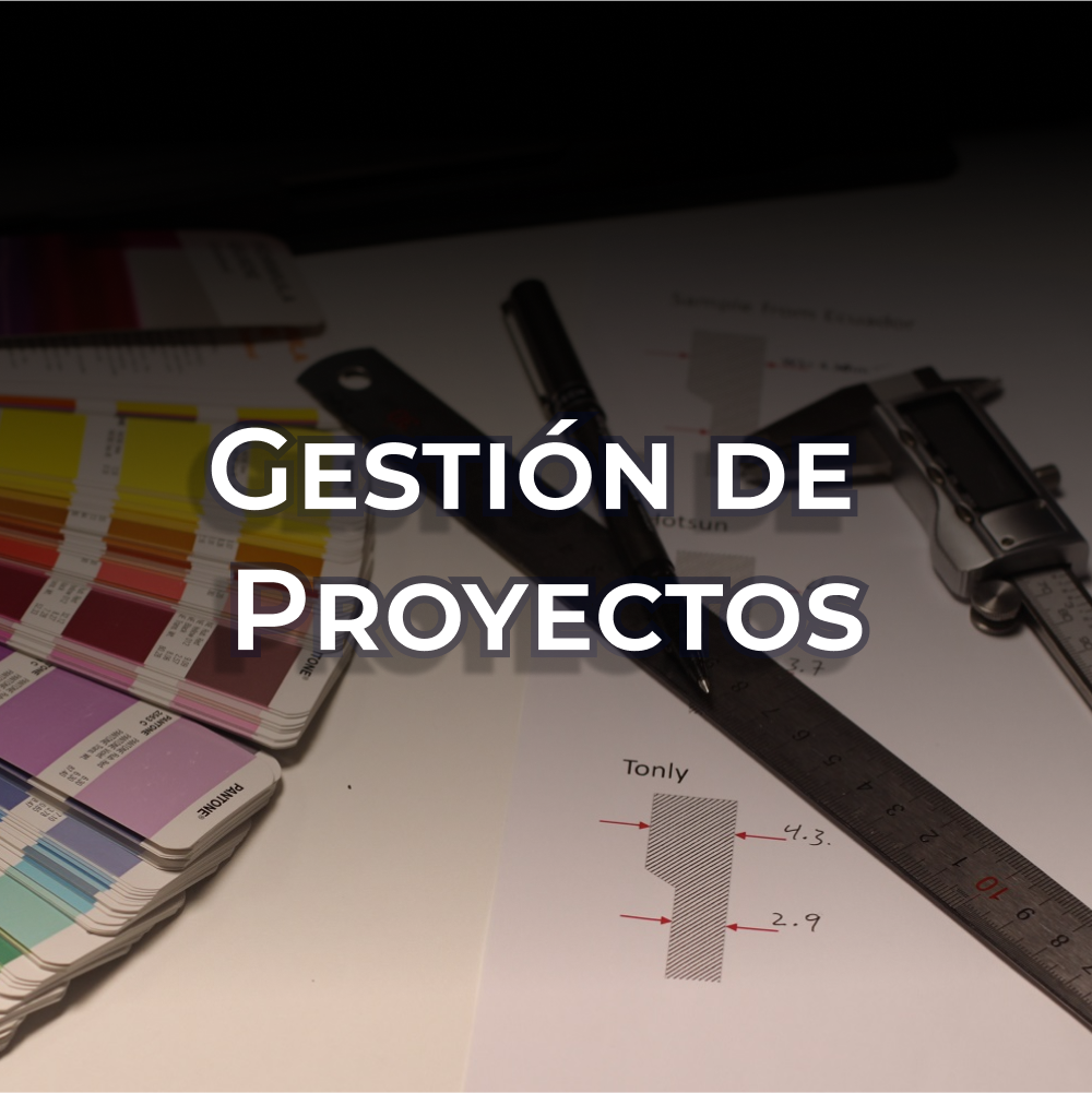 Gestión de Proyectos