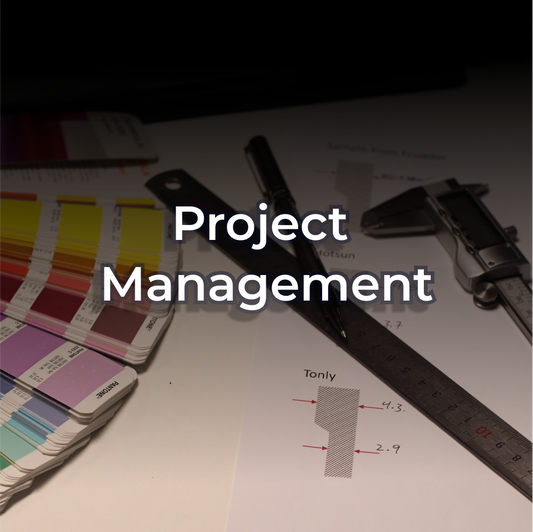 Project management (online)